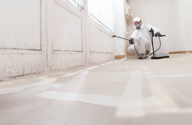 24/7 Emergency Bathroom Mold Removal experts in Southlake, TX